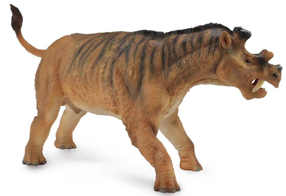 Уинтатерий Collecta
