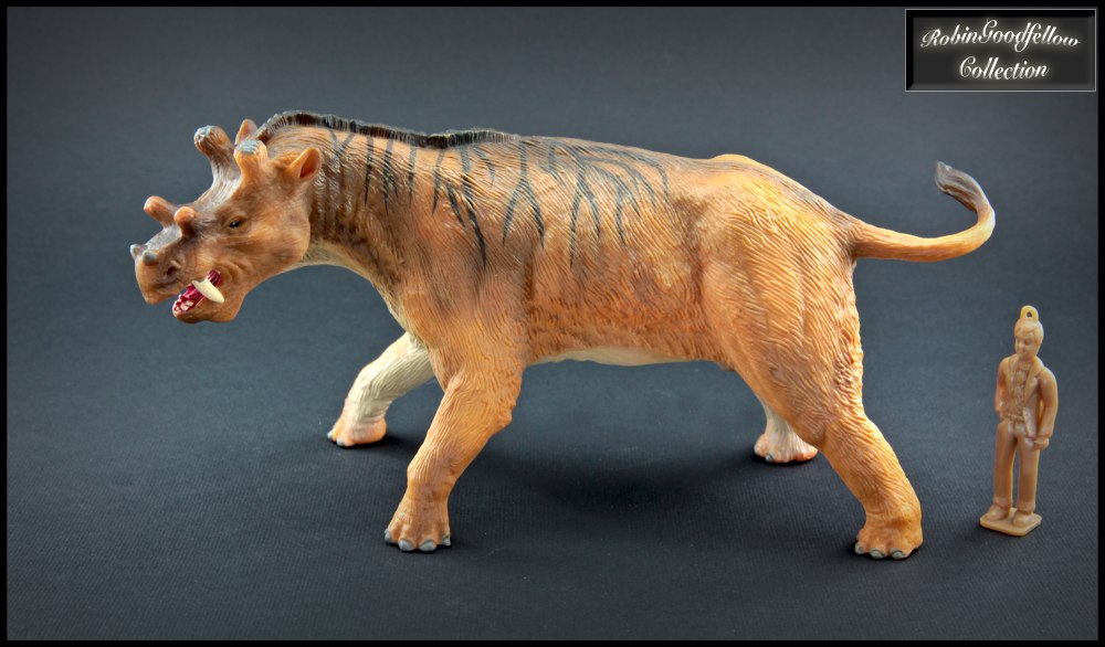 Уинтатерий Collecta