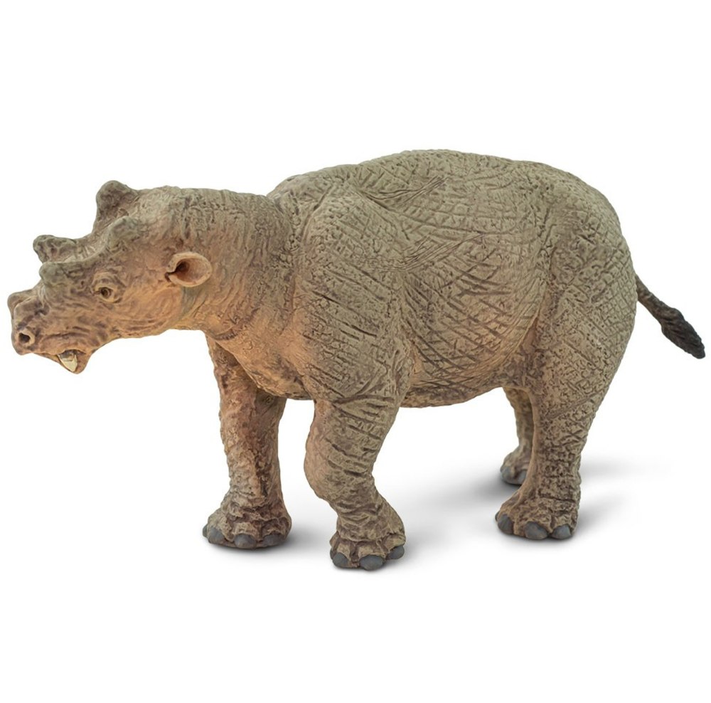 Уинтатерий Collecta