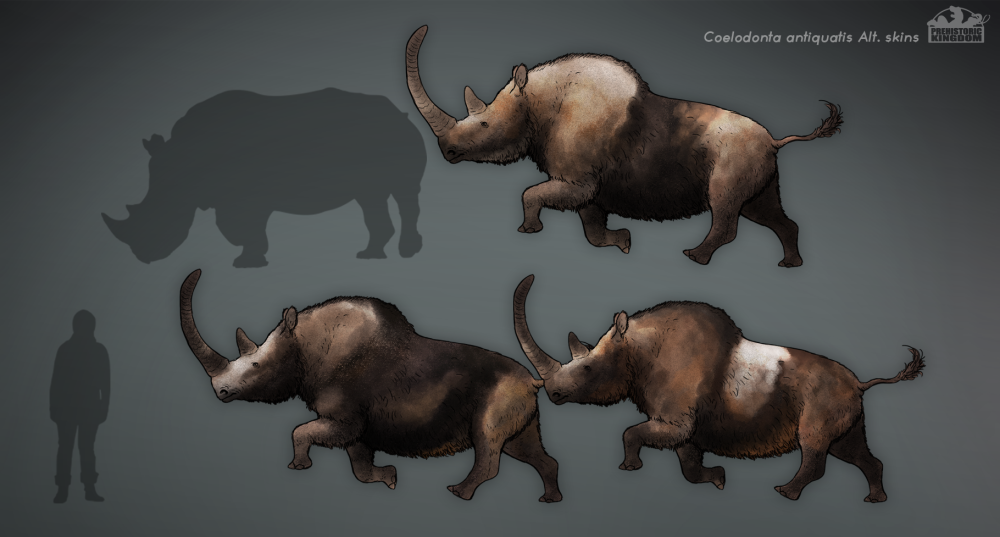 Prehistoric Kingdom Hyaenodon