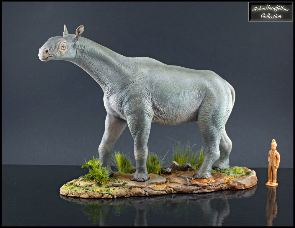 Уинтатерий Collecta