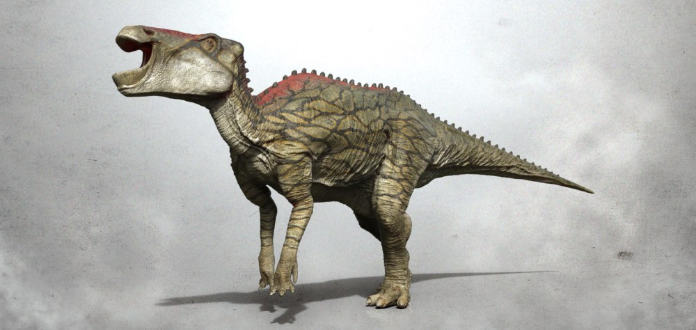 Shantungosaurus giganteus