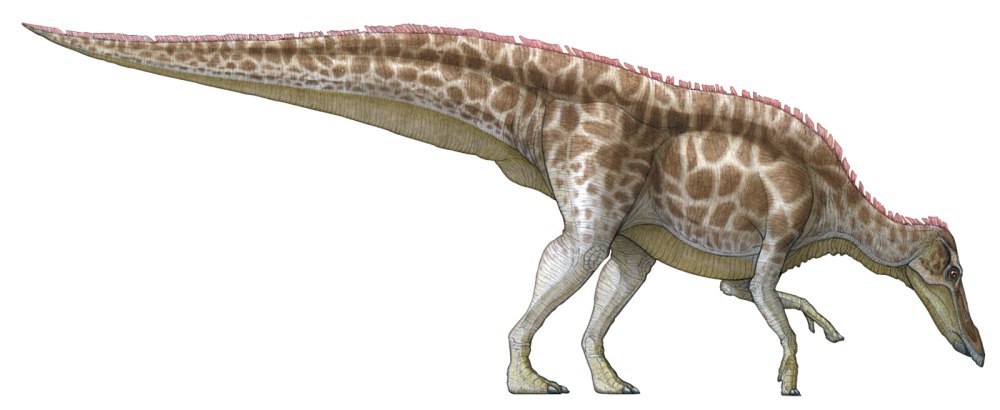 Huaxiaosaurus aigahtens