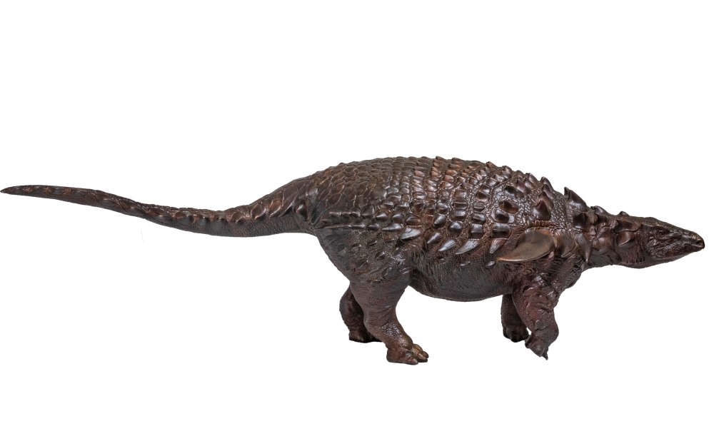 Borealopelta markmitchelli PNSO