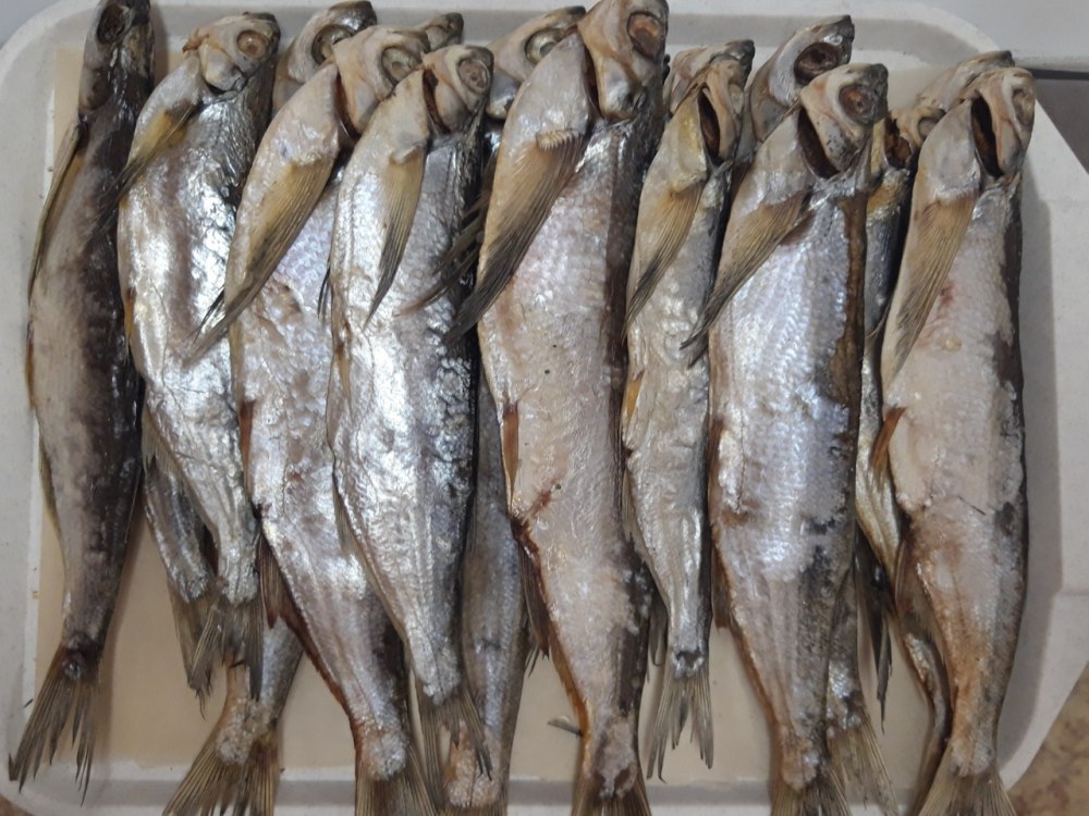 Камская чехонь