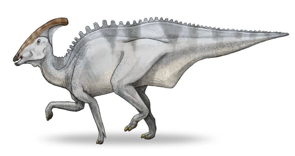 Charonosaurus Parasaurolophus