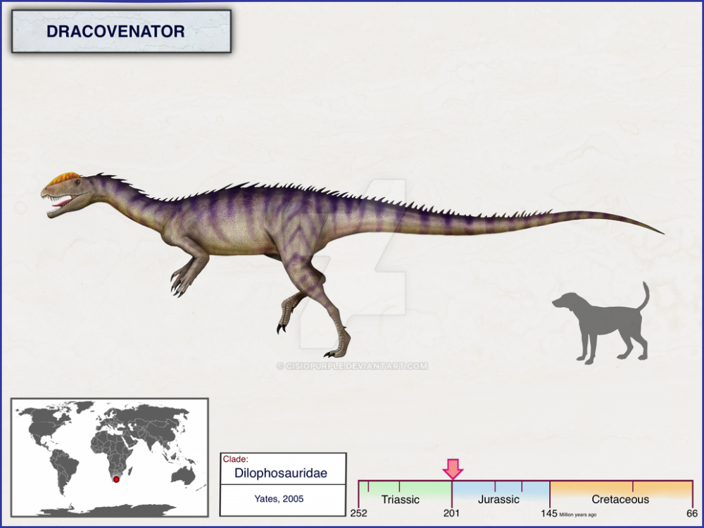 Драковенатор. Dracovenator regenti