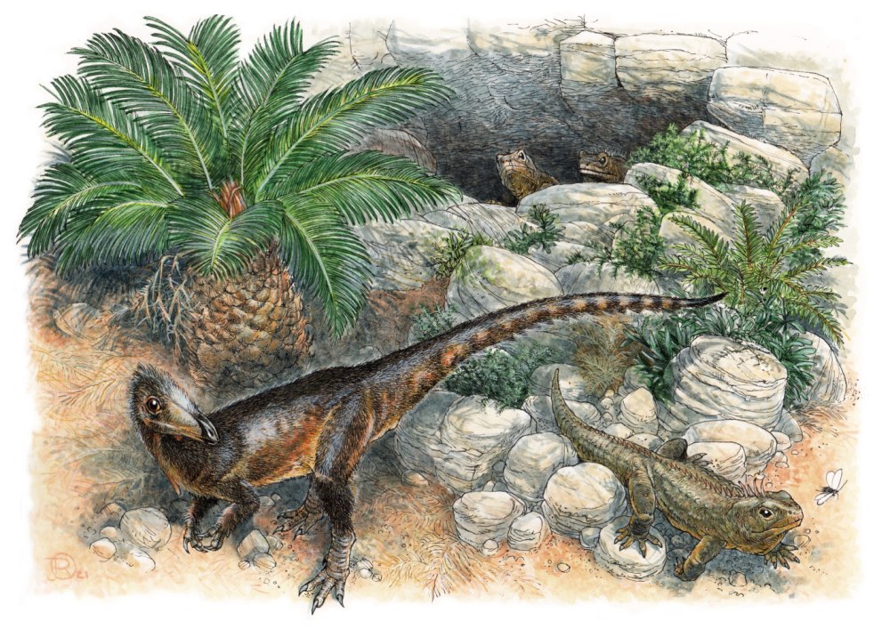 Pendraig milnerae