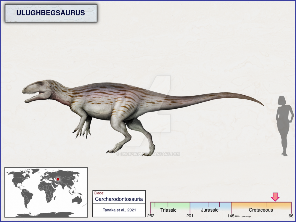 Ulughbegsaurus cisiopurple