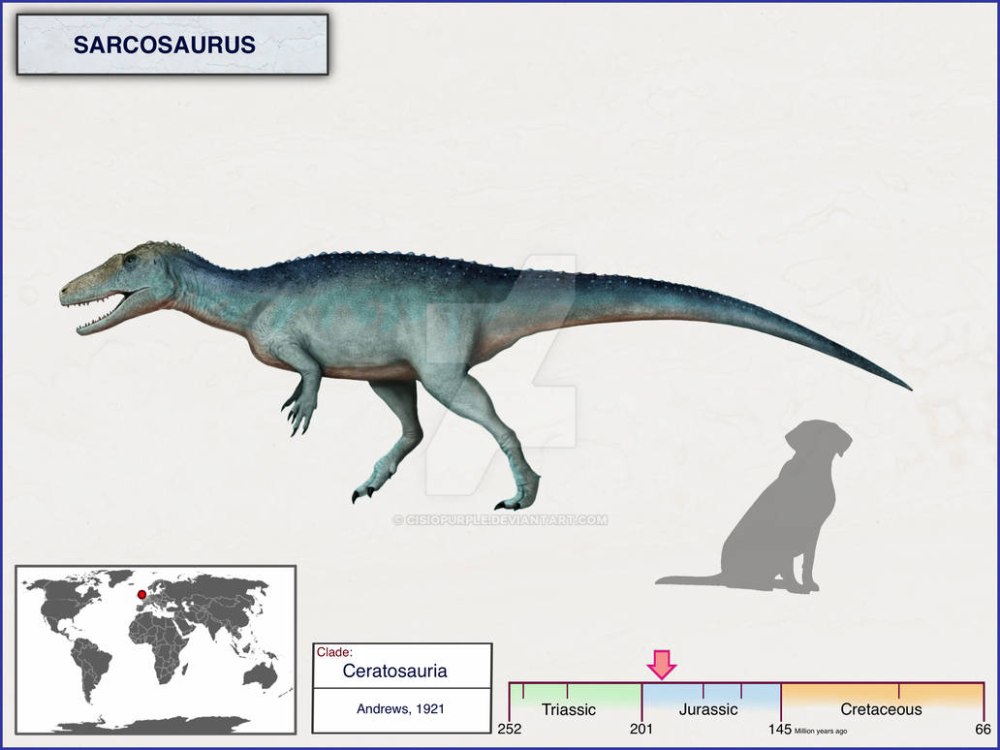 Sarcosaurus cisiopurple