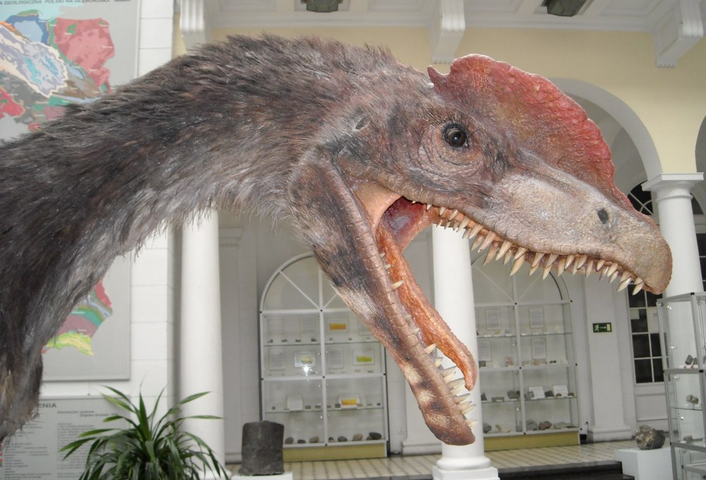 Dilophosaurus sinensis