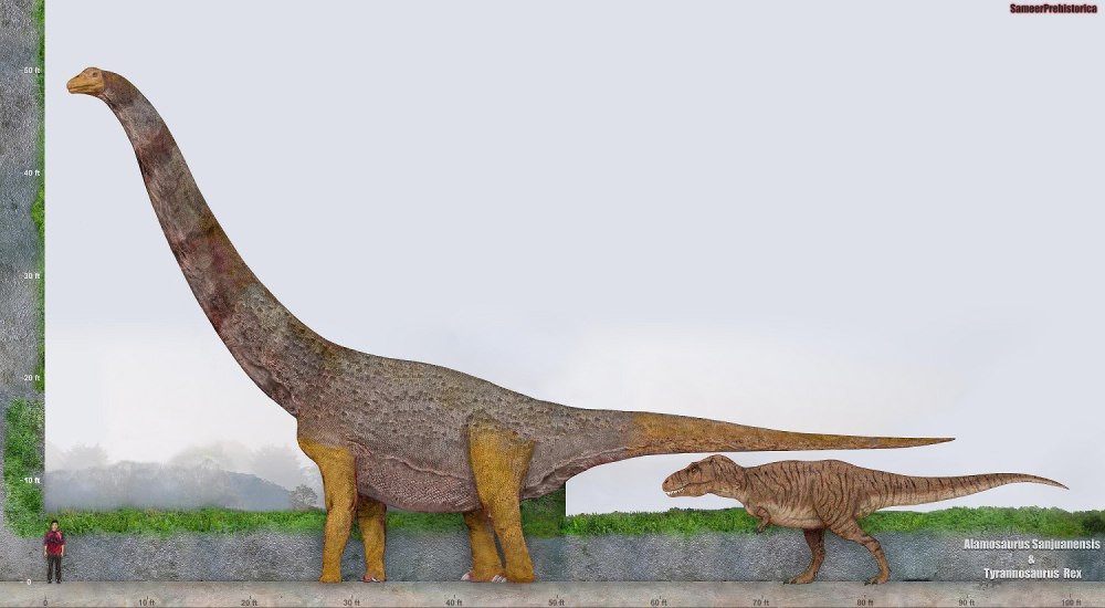 Alamosaurus sanjuanensis