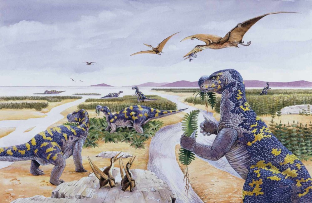 Dinosaurs of Antarctica