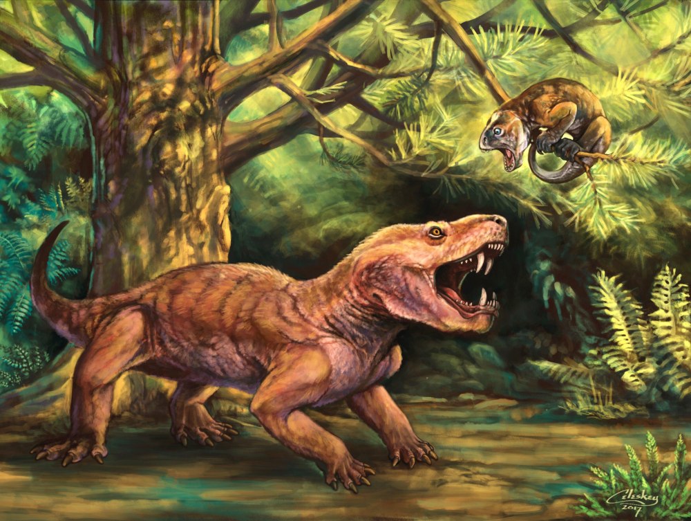 Gorynychus sundyrensis