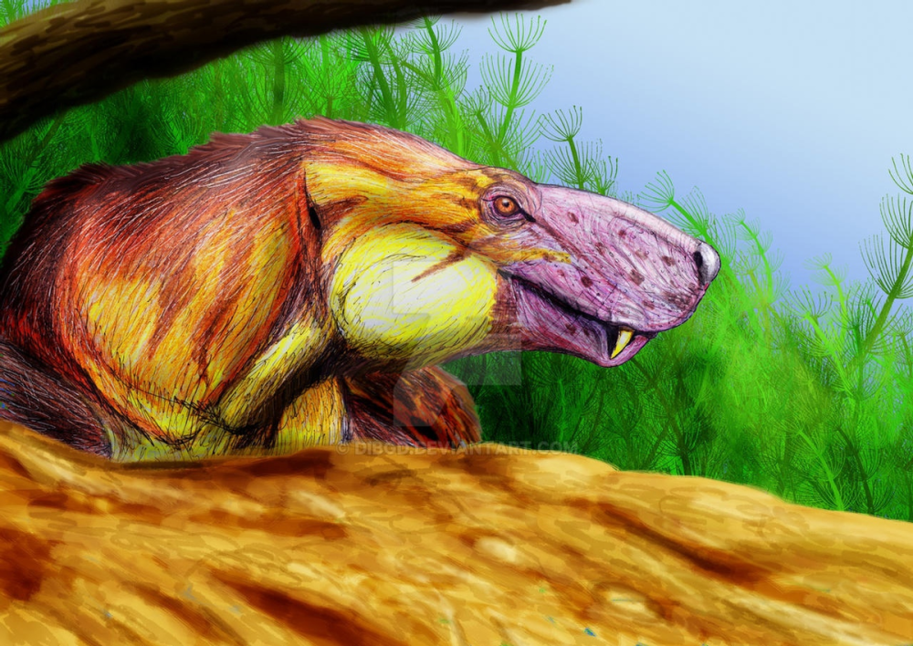 Gorynychus masyutinae
