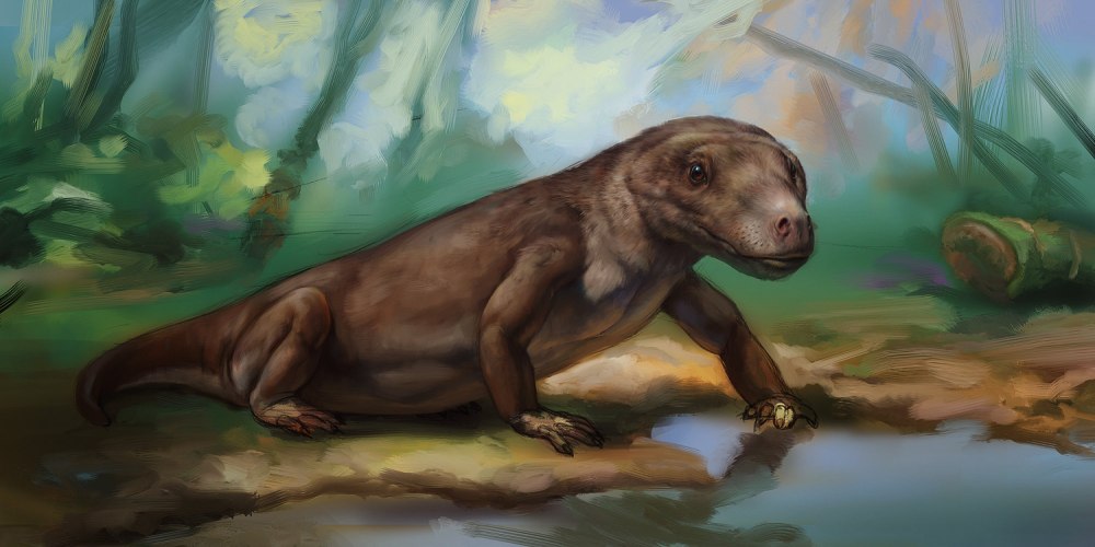 Annatherapsidus Petri