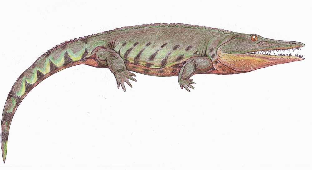 Uralerpeton tverdochlebovae