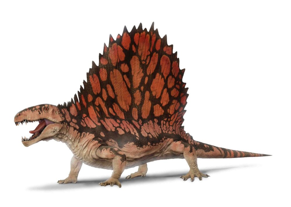 Dimetrodon angelensis
