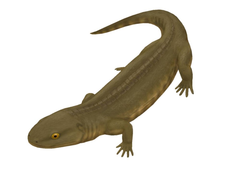 Ariekanerpeton sigalovi
