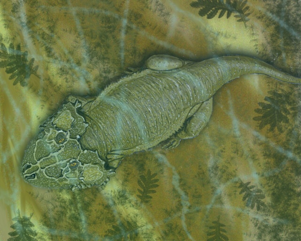 Lanthanosuchus watsoni
