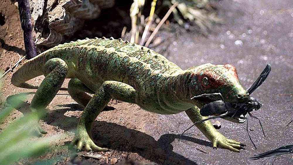 Petrolacosaurus Kansensis