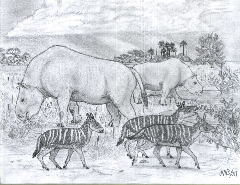 South American hoofed mammals