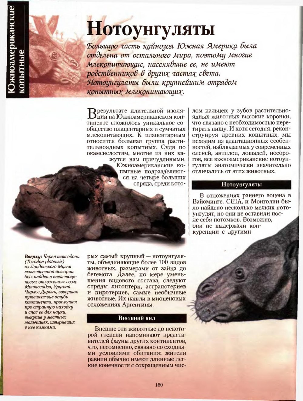 Энциклопедия экзотических животных