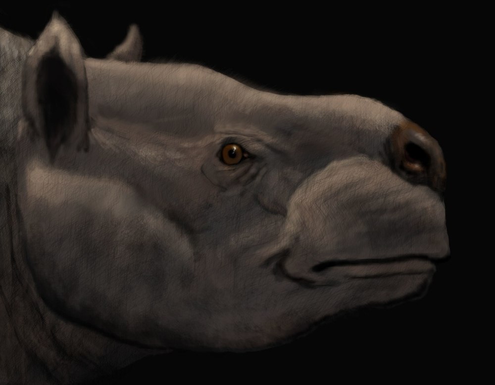 Toxodon PNG