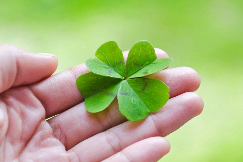 Four Leaf Clover represents