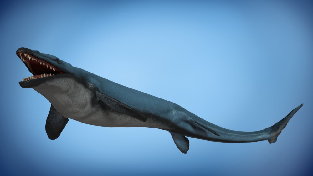 Basilosaurus cetoides