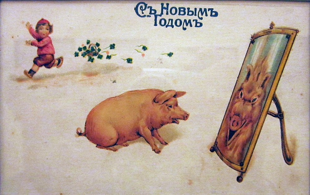 С новым годом кабан