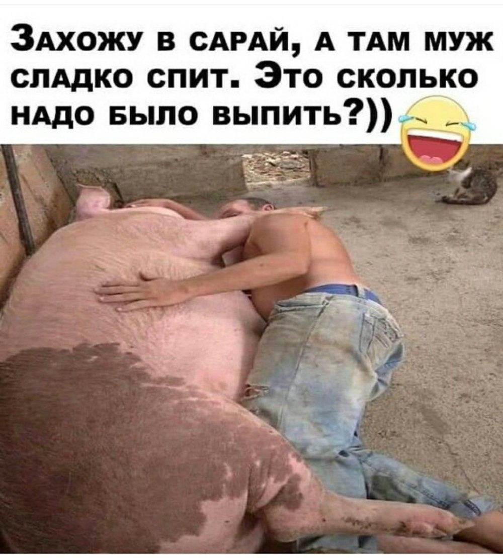 Мужик спит с поросенком