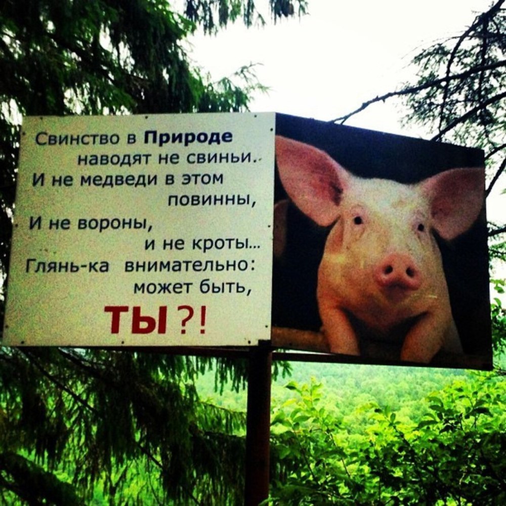 Стих про свиней людей