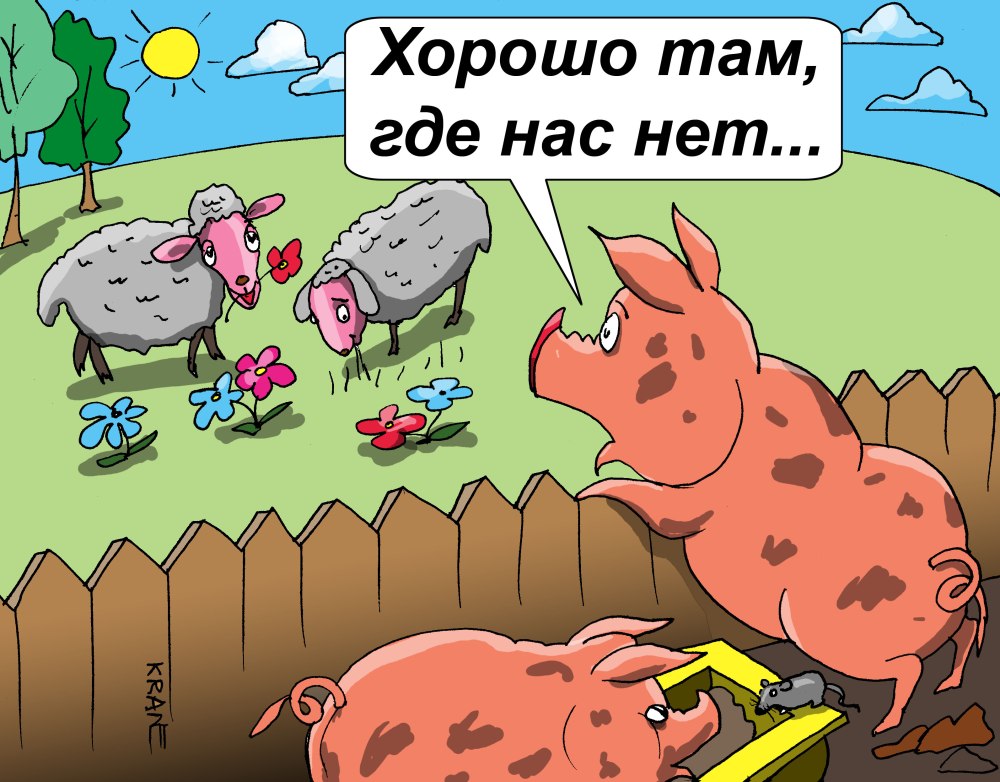 Свинья карикатура