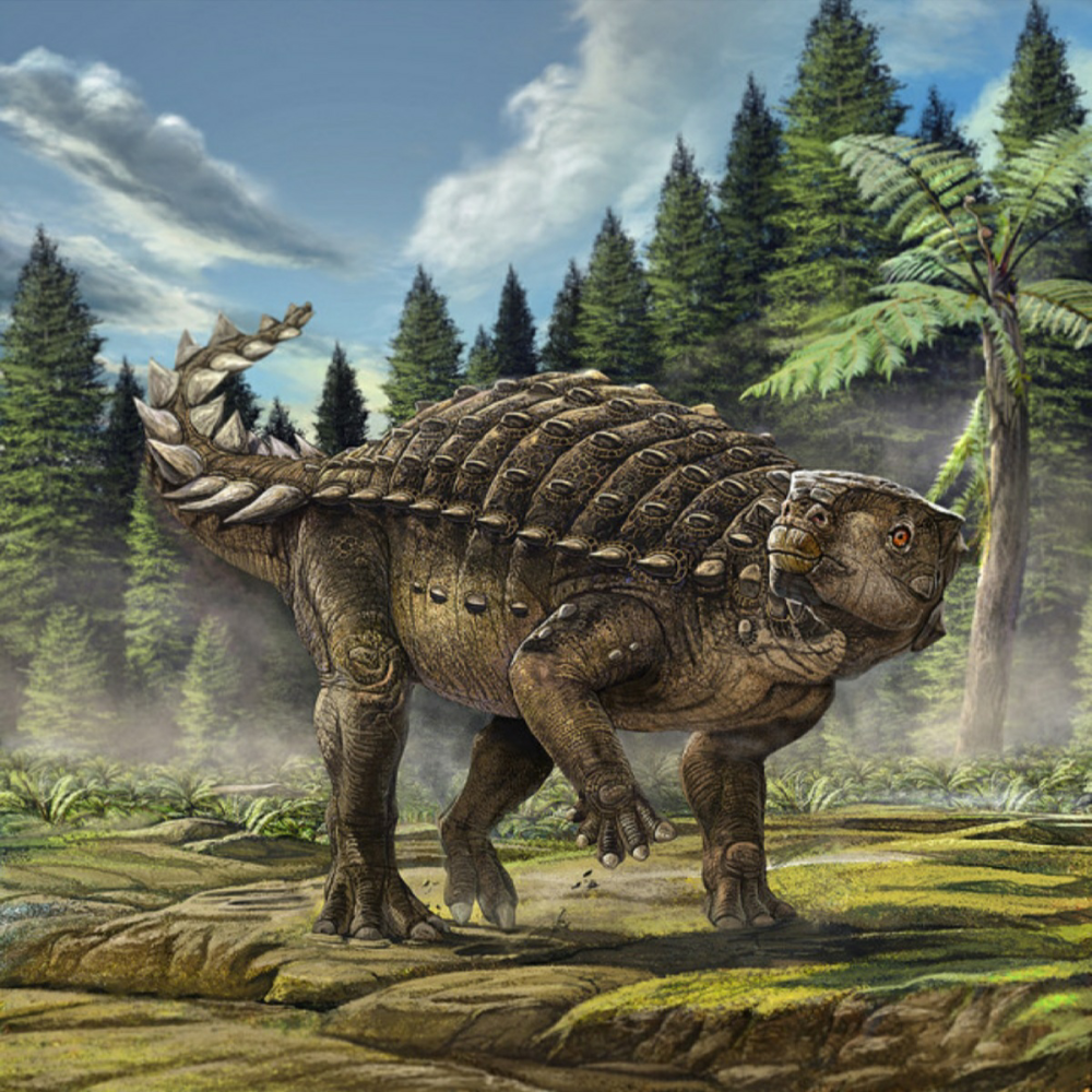 Анкилозавр Saurian