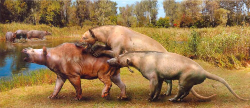 Mongolonyx robustus