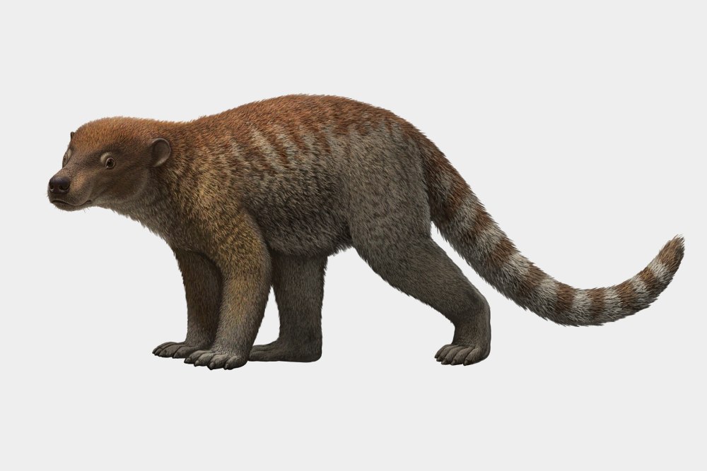 First mammals