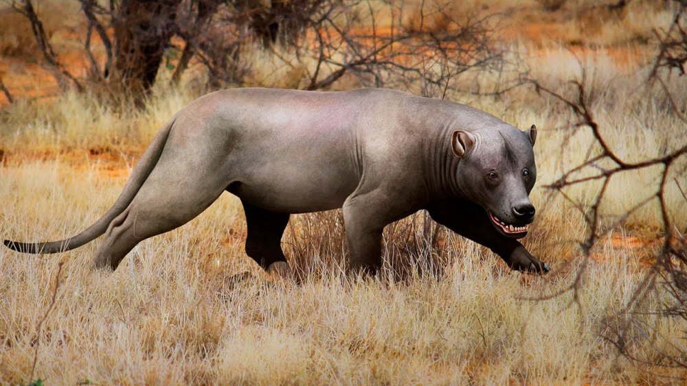 Simbakubwa kutokaafrika