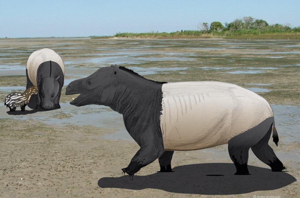Ancient mammals