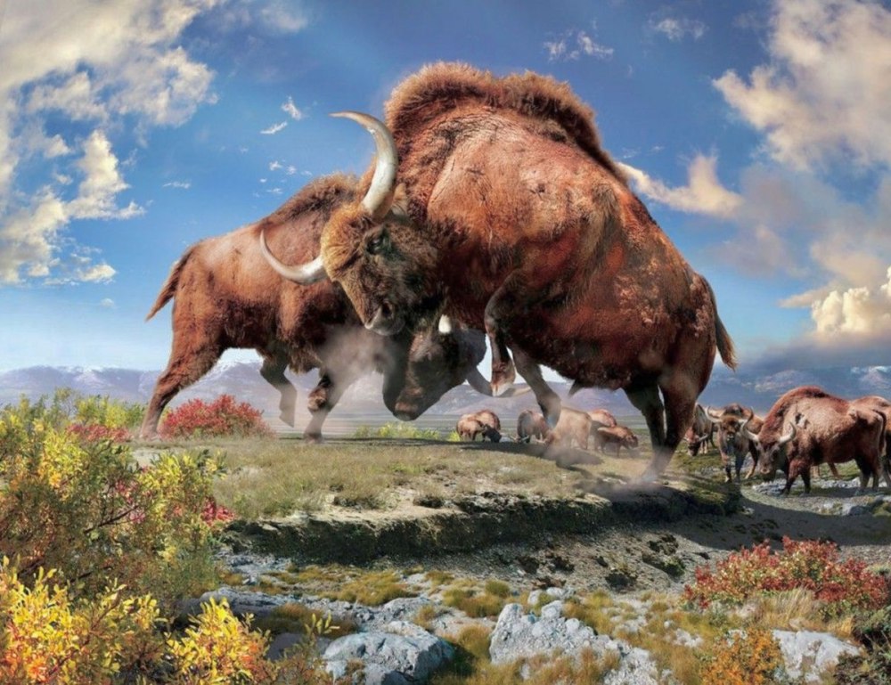 Первобытный Бизон Bison Priscus