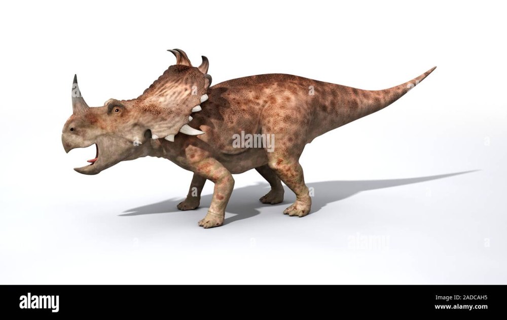 Cimolestes Size