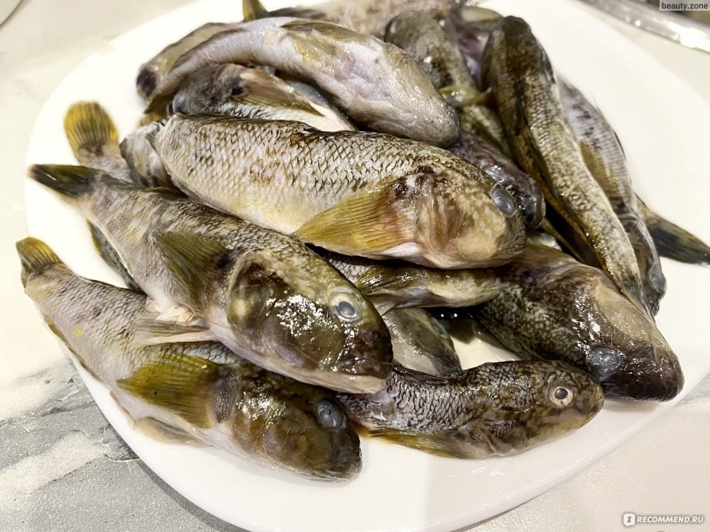 Рыба бычок зеленый