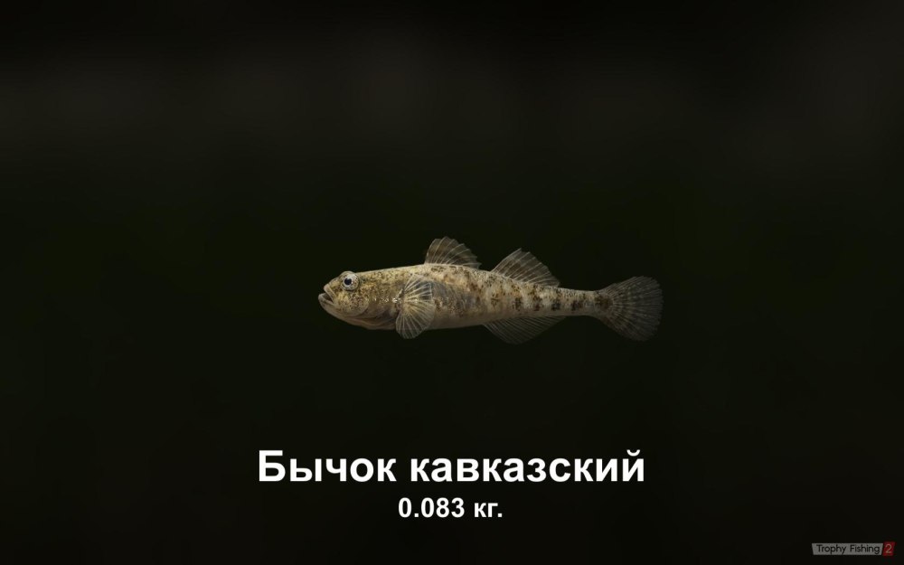 Трофи фишинг