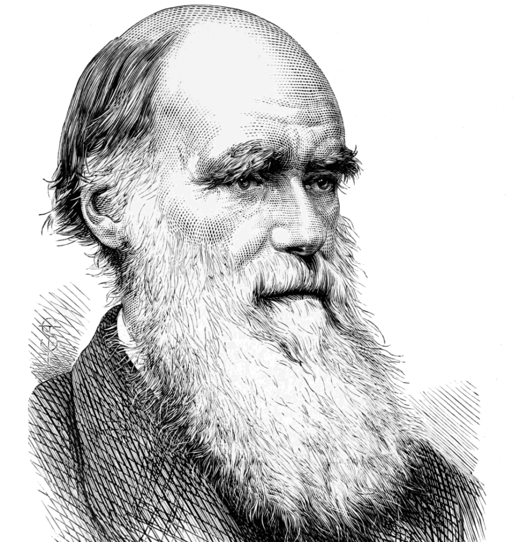 Чарлз Роберт Дарвин (1809-1882)