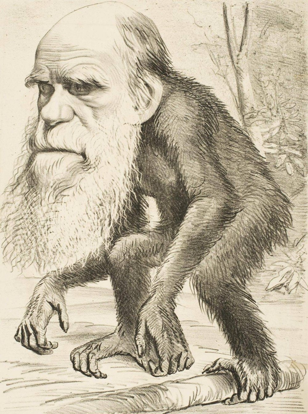Леонард Дарвин