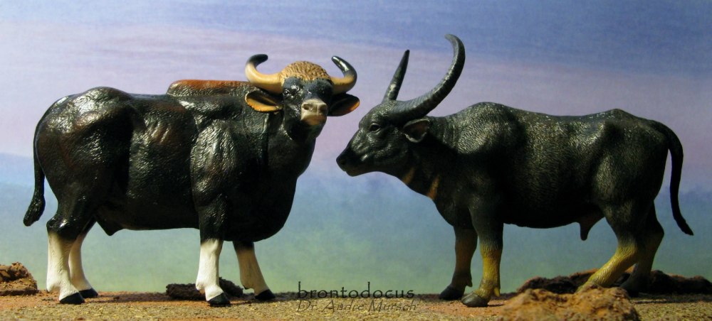 Collecta 88657 - Wild Water Buffalo