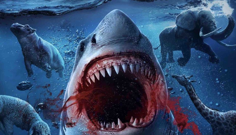 Ноева акула (Noah's Shark) 2021