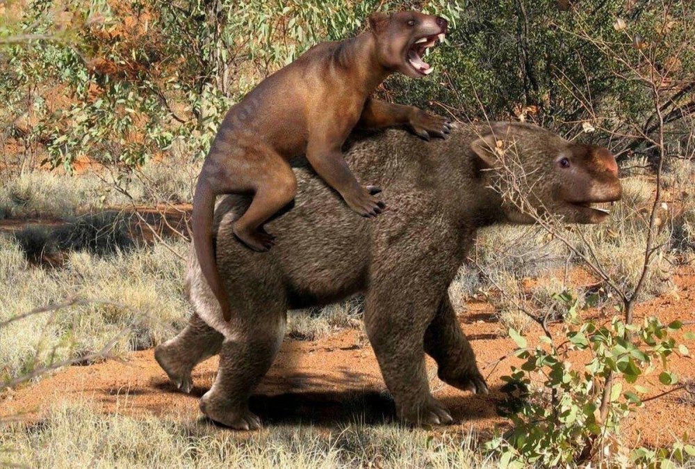 Сумчатый Лев