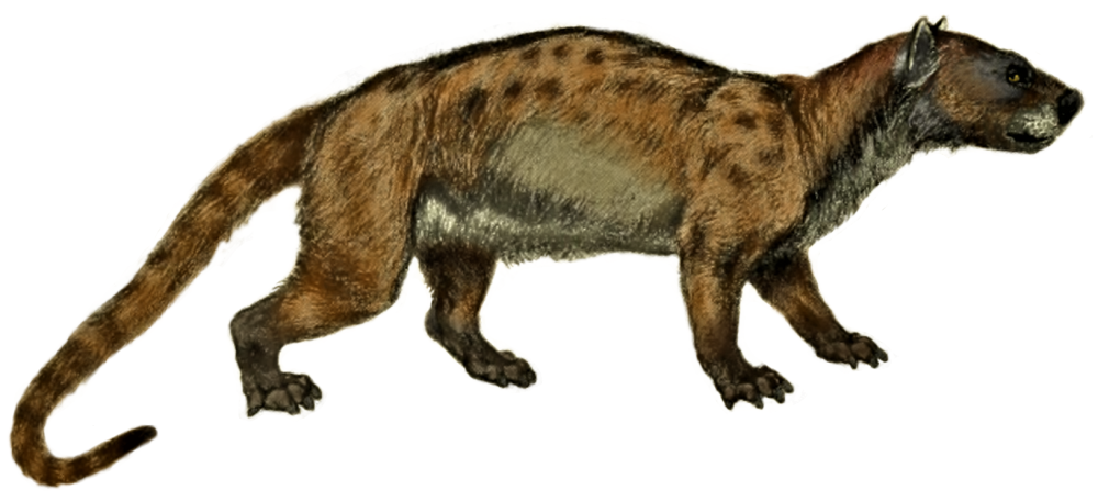 Patriofelis Ferox