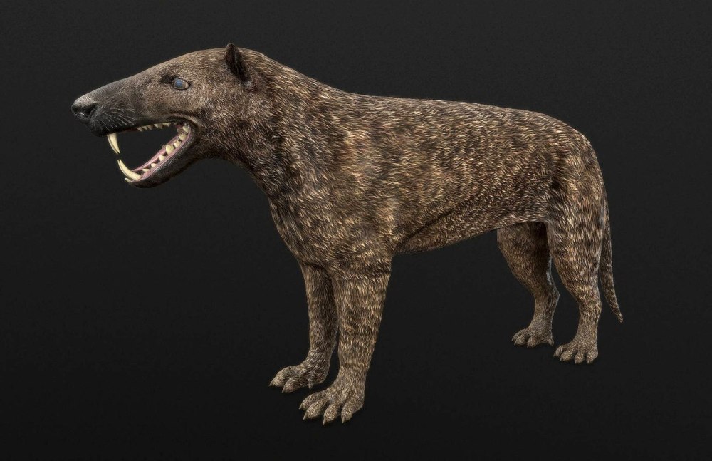 Гиенодон (Hyaenodon)